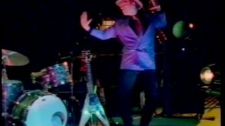 Webb Wilder - I Had Too Much To Dream (Last Night)