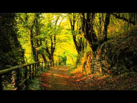 Dave Roberson - Falta de perdao mata suas financas