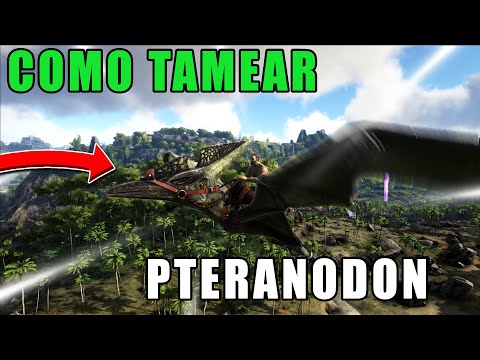 COMO TAMEAR PTERANODON y CUALES SON SUS HABILIDADES! (PS-XBOX-PC) - ARK