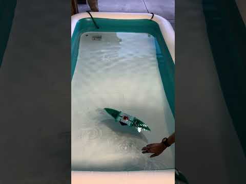 RAY in Water Video