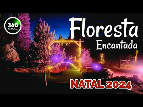 FANTASTIC FOREST | ARCOS DE VALDEVEZ 2024 | GERÊS | PORTUGAL