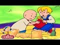 Funny Animated Cartoon Caillou Makes A New Friend WATCH CARTOON ONLINE Cartoon For Children