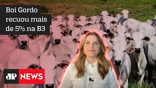 Hora H do Agro: Suspeita de doença da ‘vaca louca’ derruba preço do boi gordo na Bolsa de Valores