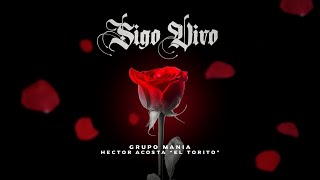 Sigo Vivo - Grupo Mania, Hector &quot;El Torito&quot; Acosta (Video Lyric)