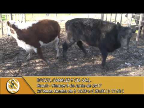09-06-17 Venta de Gordo - Rocco, Canales y Cía. S.R.L. - Rauch