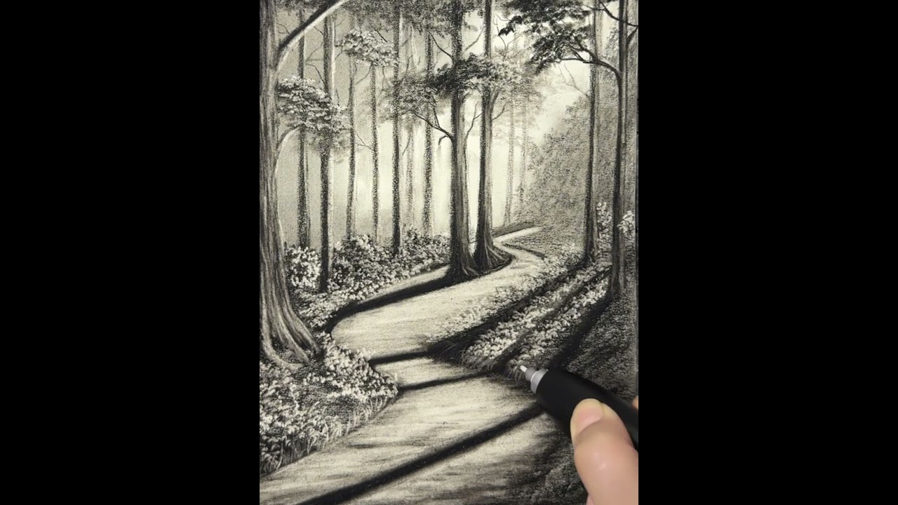 How to Draw a Forest Path with Pencils #charcoaldrawing #art #drawing #sketch #landscapedrawing