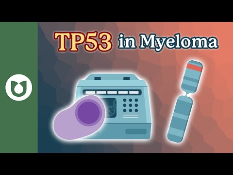 TP53 in Myeloma: How the p53 Protein Shapes Your Cancer’s Behavior