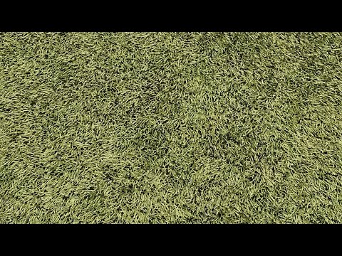 CutlineCup Tarnovia - Pcimianka Pcim