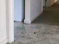 Mouse Hunt