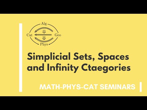 Simplicial Sets, Spaces and Infinity Categories