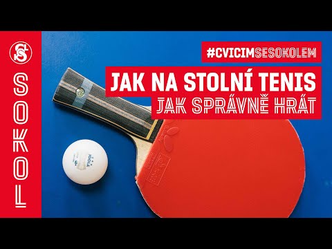 JAK NA STOLNÍ TENIS? 🏓 návod, jak správně hrát