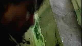 Allele - &quot;Closer to Habit&quot;