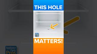 Water in Your Fridge? This Tiny Hole Might Be the Reason