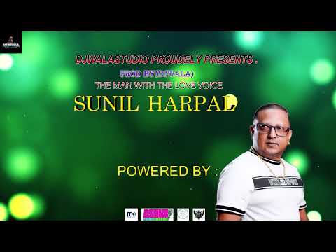 DIL MERA CHURAYA KYUN SINGER KUMAR SANU & ANU MALIK  COVER  BY SUNIL HARPAL