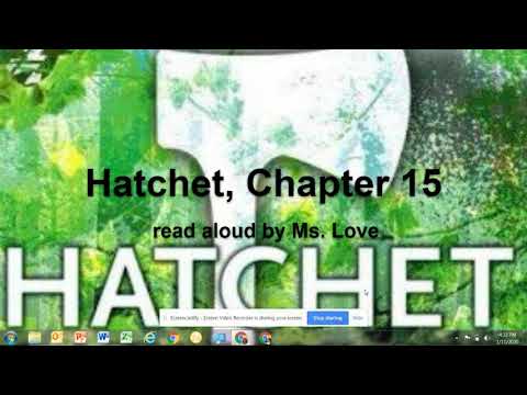 Hatchet, by Gary Paulsen, Chapter 15