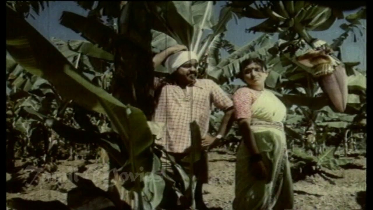 Yeru Pudichavare Song Lyrics | Karaiyellam Senbagapoo | Malaysia Vasudevan, P. Susheela