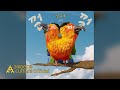 Choiza - Do What I Do (Lyric Video)