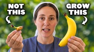 Don’t Plant Bananas Until You Watch This! 🍌
