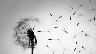 Let It Go (Jeremiah)