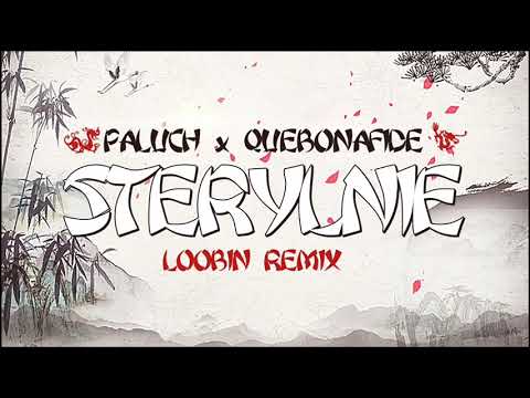 Paluch x Quebonafide - STERYLNIE (Loobin Remix)