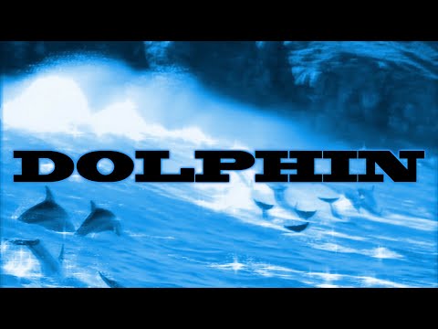 Video thumbnail for Dolphin