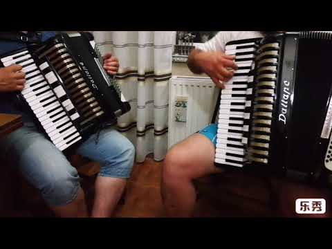 DALLAPE ORGANETTE  + DALLAPE ORGANTONE  ( troglasne  2+1  i  1+2)