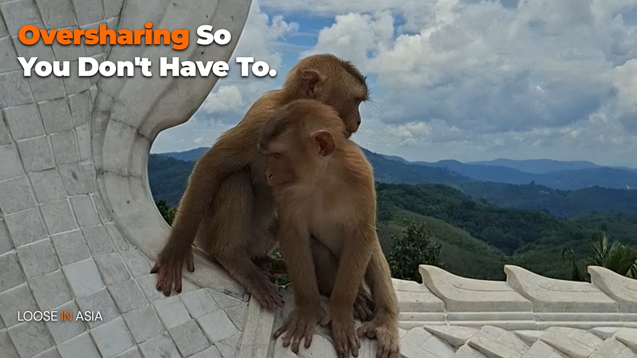 Latest video