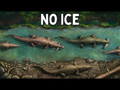 Antarctica Was Once a Jungle... Here's Why