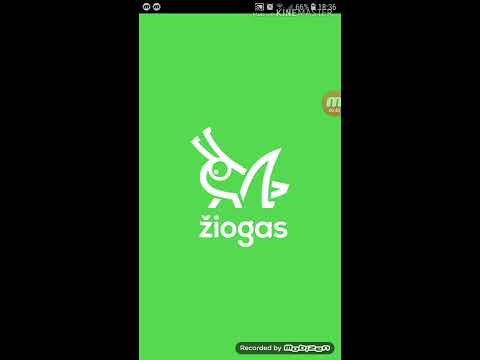 Ziogas programele aplikacija Kauno Žiogas
