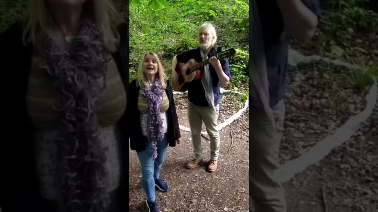 Search Party for lost nature  - a Withdean woods creation