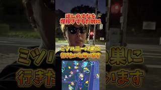 【悲報】1匹でほしのすな5625はヤバい...。ほしのすな爆増激ヤバチート級！ミツハニーの巣にきたら楽勝すぎた【ポケモンGO】#ポケモンGO #島名なまし　#ミツハニーの巣