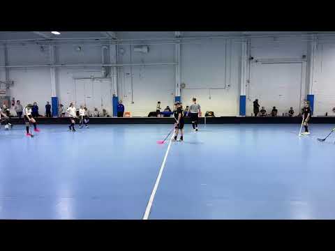 T12 Blackbirds - Ervi