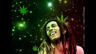 I Shot the Sheriff Roni Size Remix