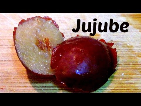 Jujube-Rezension (+ Wie man Jujube-Tee macht) Weird Fruit Explorer - Ep 109
