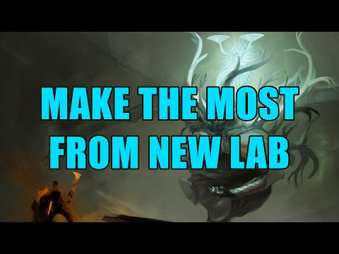 Make the Most Out Of New Lab - Tips and Tricks for Labyrinth On Any Build -  PoE 3.23