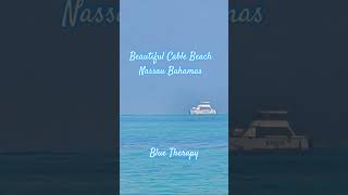 #bahamas #island #travel #ocean #vacation #vlog#pov#cruise #beachlife #best#beautyofnature #viral