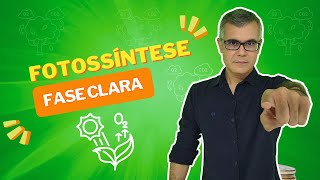 Fotossíntese -  Fase Clara