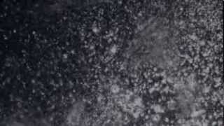 Tim Hecker - The Fog II