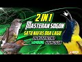 MASTERAN SOGON SATU NAFAS DUA LAGU Prenjak Betina Sambung Brem Cigun Sogon Sogongacor