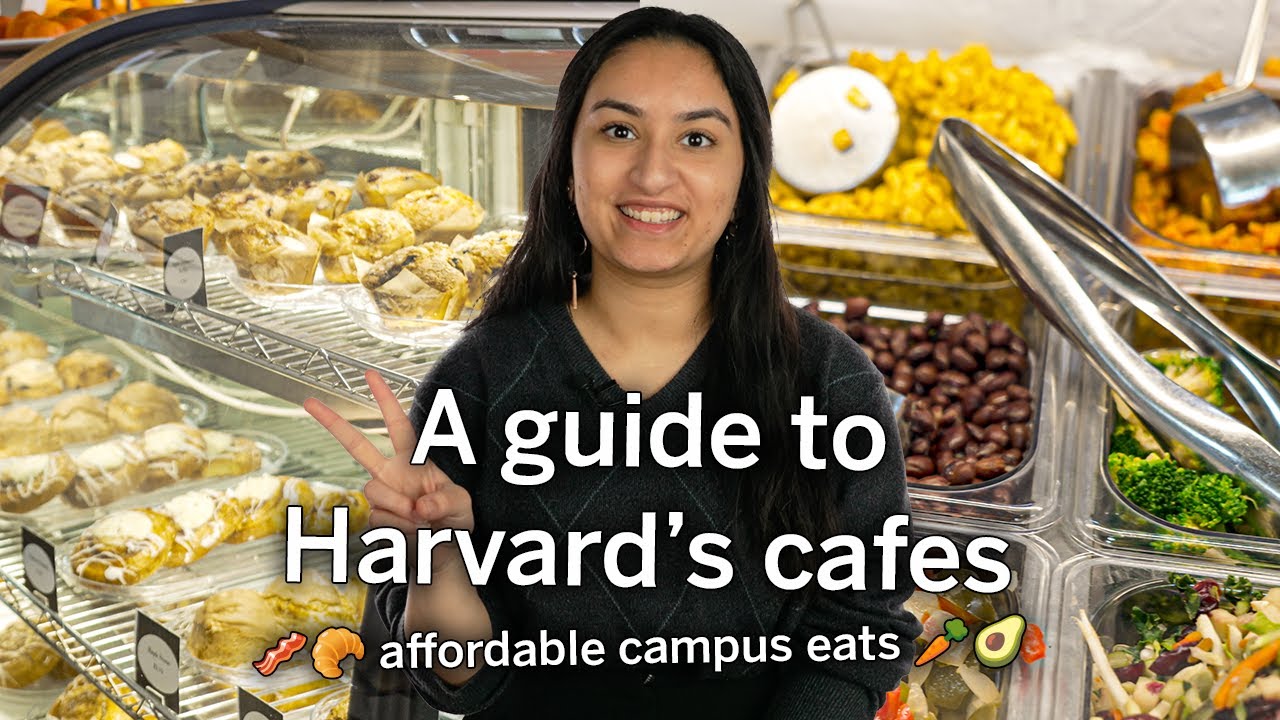 Harvard's Campus Cafes are a HIDDEN GEM 💎💎| A Guide to Affordable Eats and Cafes at Harvard