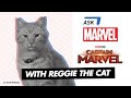 Goose the Cat of Marvel Studios' Captain Marvel | Ask Marvel
