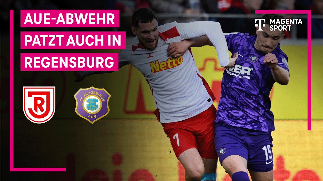 SSV Jahn Regensburg vs Erzgebirge Aue Highlights