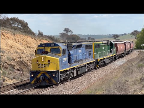 Australian Trains - Aurizon's Return To Intermodal In NSW, 5 Locos On SSR Grain, Drone Footage