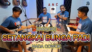 Download lagu A Stalk of Rice Flower Karaoke, Guy's Tune, Lucky Santa mp3