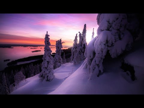 James Kitcher & Adam Taylor — Shayan (Original Mix)