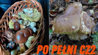 After the full moon part 2