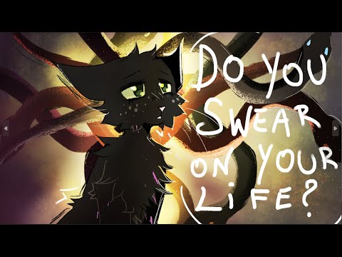 Do you swear on your life?