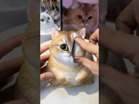 Feline face squeeze spa. #squishy #cat #cutecat #cute #diy #handmade