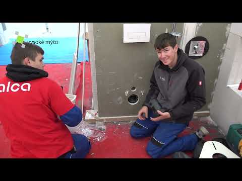 Vysoké Mýto / Vysoké Mýto patřilo mladým řemeslníkům