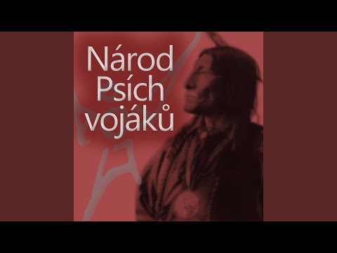 Protínání